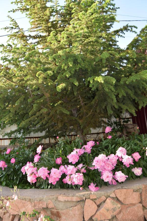 Гостевой Дом Chimgan Apple Garden Exterior photo