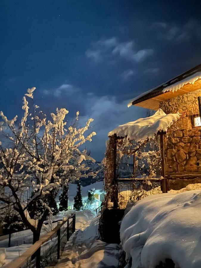 Гостевой Дом Chimgan Apple Garden Exterior photo