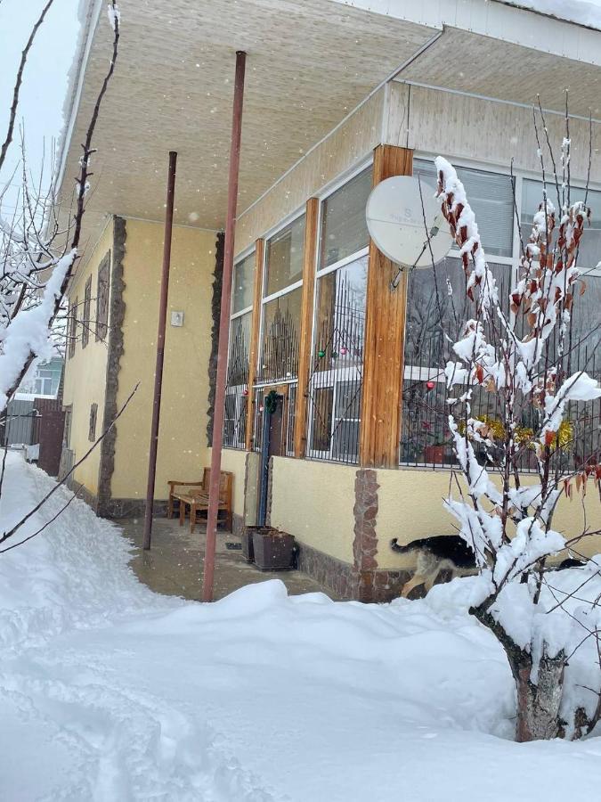 Гостевой Дом Chimgan Apple Garden Exterior photo