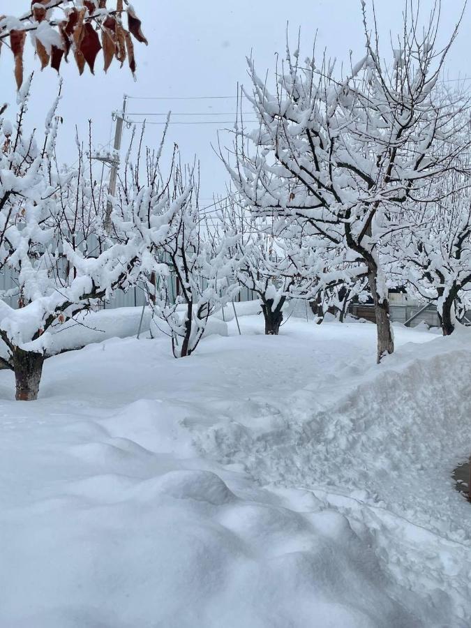 Гостевой Дом Chimgan Apple Garden Exterior photo